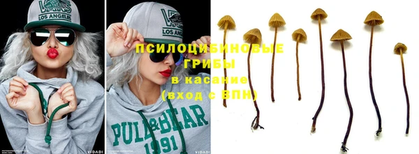 ПСИЛОЦИБИНОВЫЕ ГРИБЫ Армянск