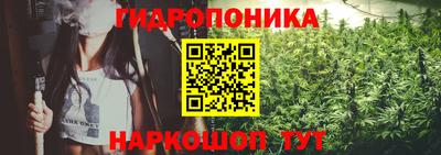 хмурый Аргун