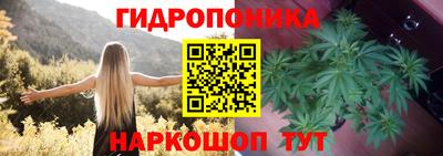 a pvp Апрелевка