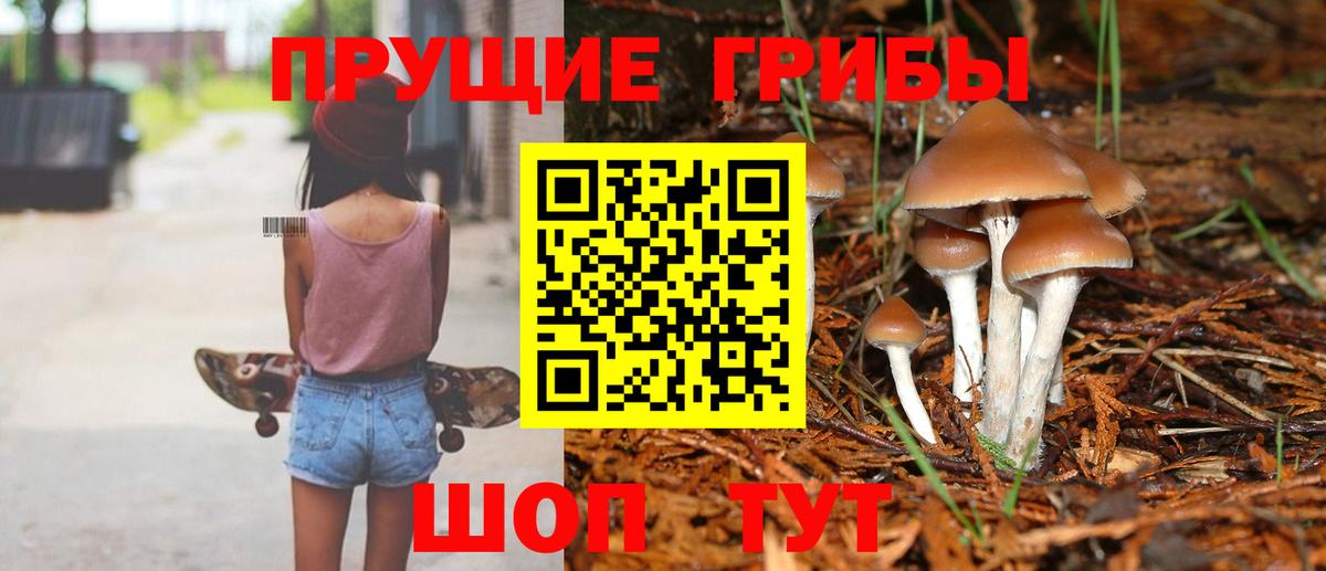 Асбест  Галлюциногенные грибы GOLDEN TEACHER  Вход с VPN  купить наркотик  Псилоцибиновые грибы Magic Shrooms 