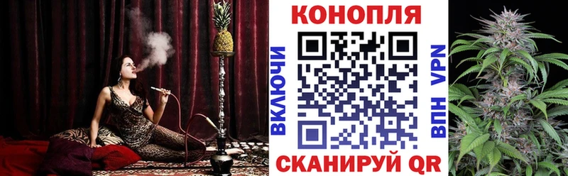 Каннабис планчик  как найти закладки  Асбест 